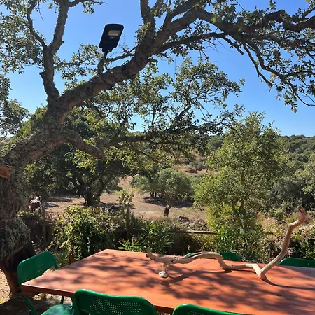 Il Lentischio Casa B2 Tergu