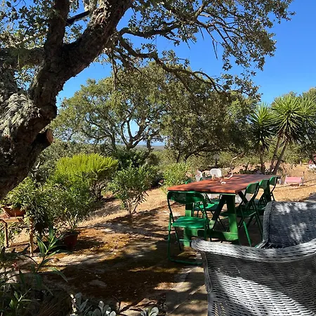 Il Lentischio Casa B2 *