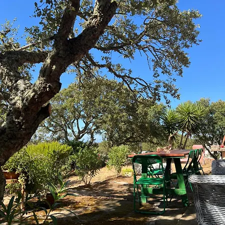 Il Lentischio Casa B2 Nyaraló Tergu