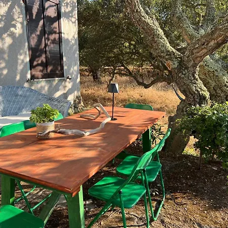 Il Lentischio Casa B2 Vakantiehuis