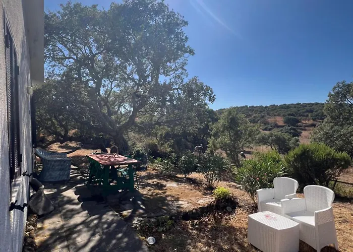 Il Lentischio Casa B2 Tergu