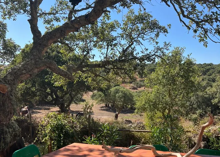 Il Lentischio Casa B2 Tergu