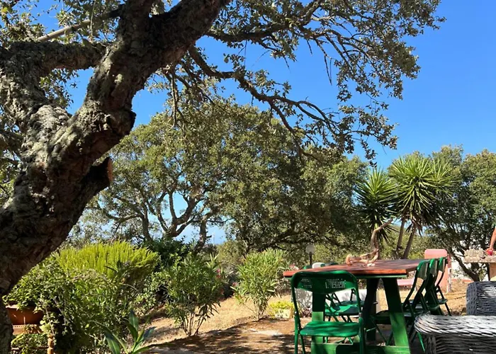 Il Lentischio Casa B2 Casa vacanze Tergu